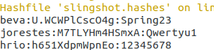 Dictionary attack and show results