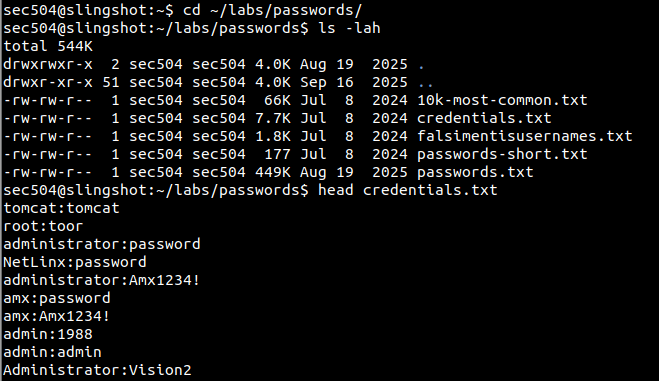 Inspect the wordlists