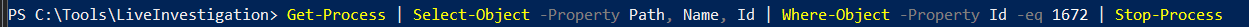 Kill the malicious process