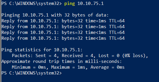 Windows ping to target