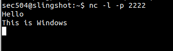 netcat chat listener