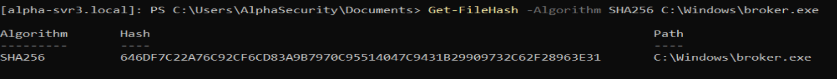 Hash the suspicious binary for IOC sharing