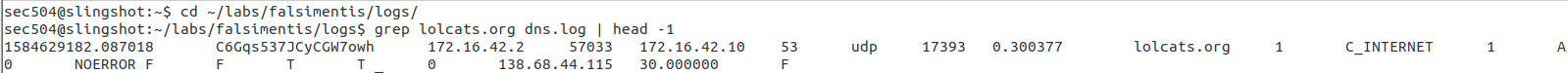 Cross-check with dns.log