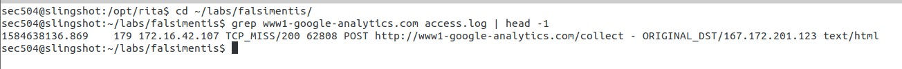 Pivot to access.log - DNS-spoofed C2