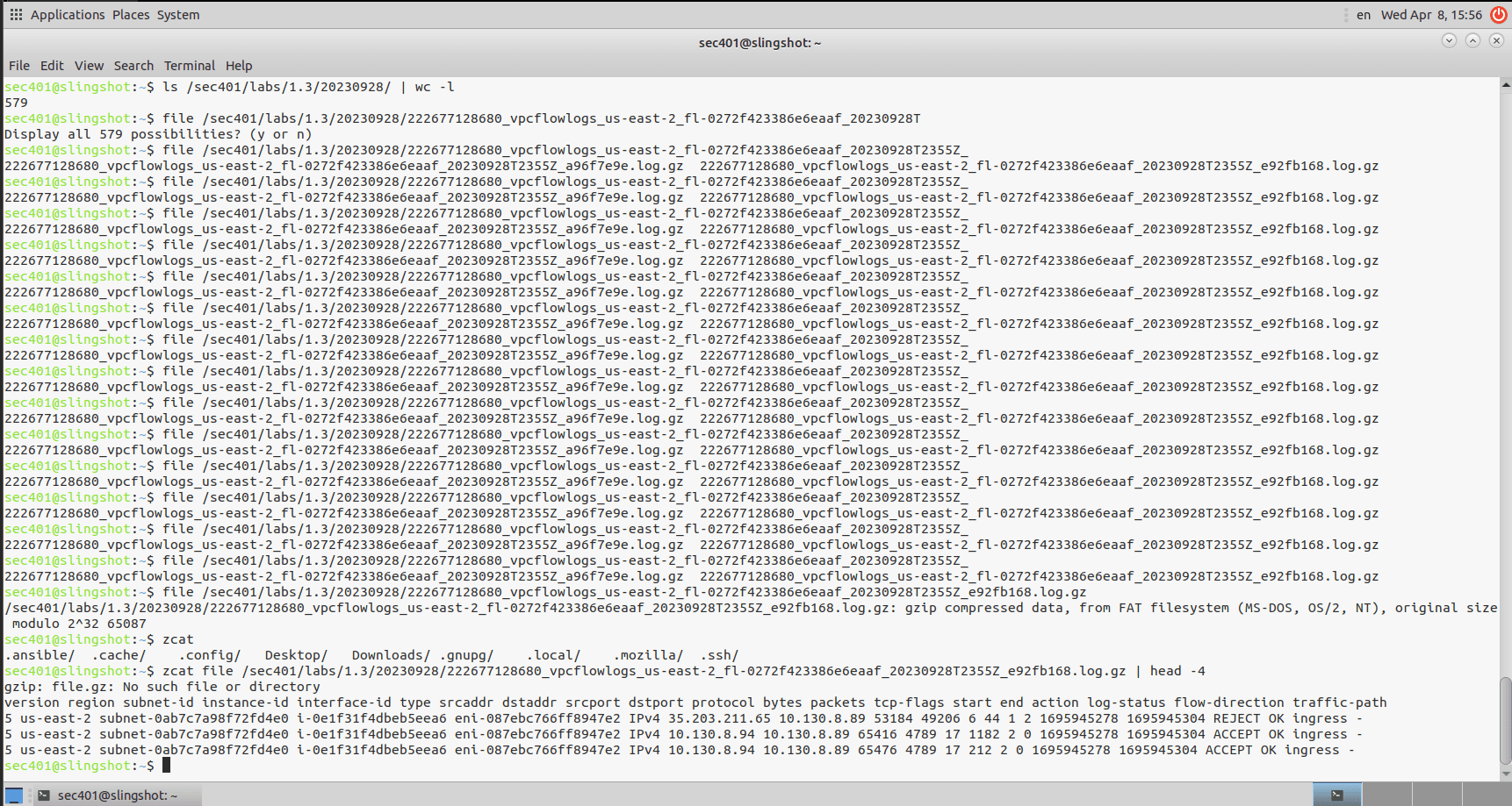 Inspect flow log format and sample records