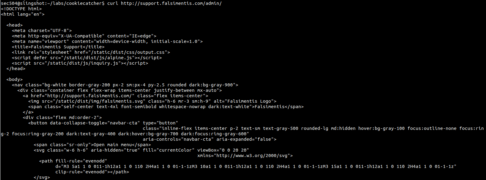 admin unauthenticated